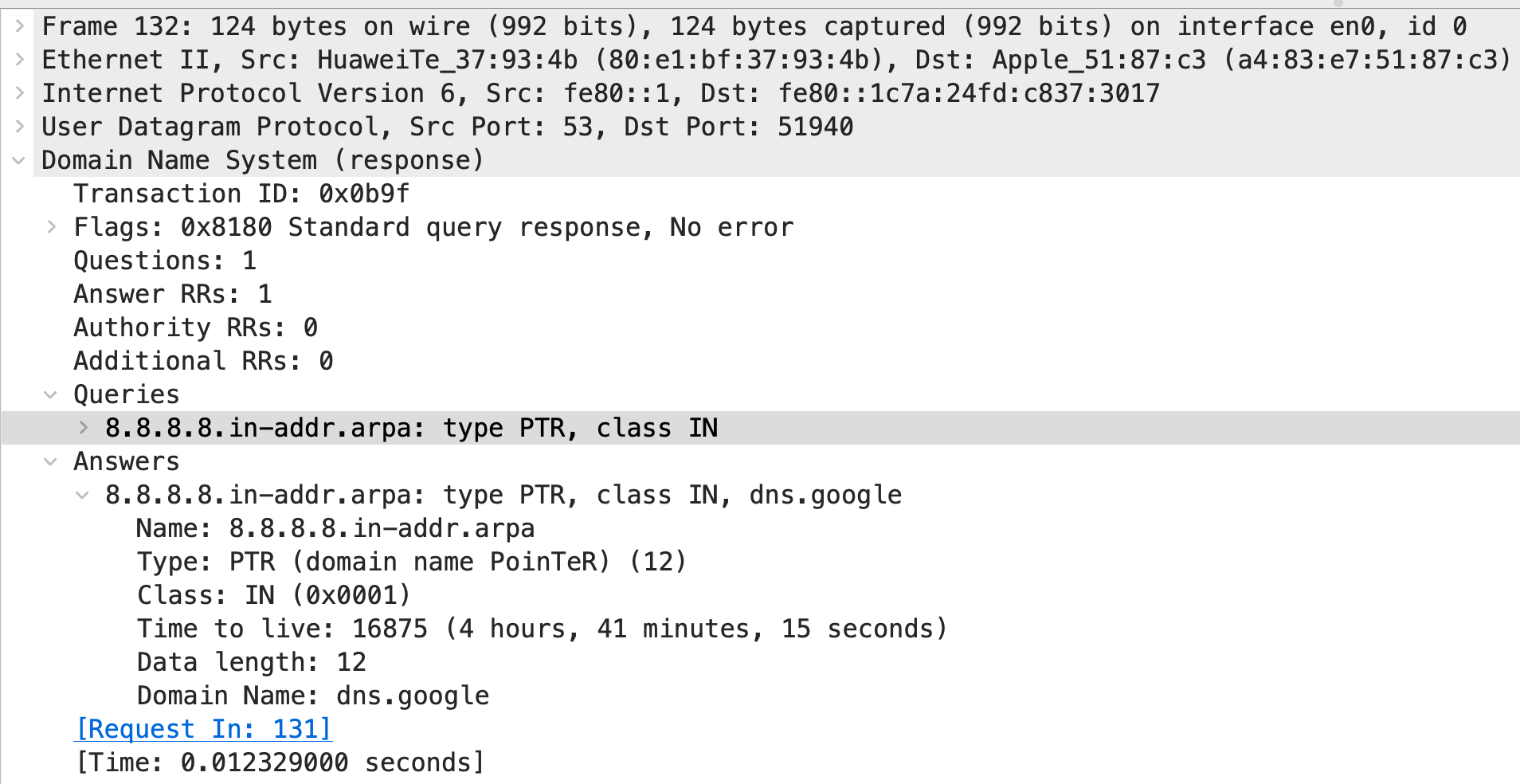 dns-query-1